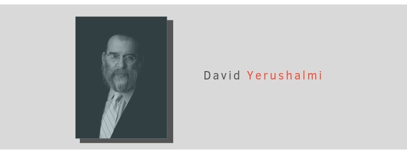 Factsheet: David Yerushalmi