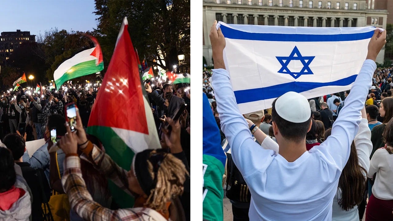 Pro-Palestine and Pro-Israel Rallies
